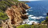 Trail Walking Saint-Cyr-sur-Mer - Port d'Alon-Madrague - Photo 10