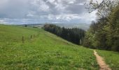 Randonnée Marche Stavelot - Stavelot et les crêtes de l’Amblève - Photo 7