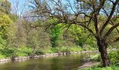 Tour Wandern Durbuy - barvaux . bohon . durbuy . barvaux  - Photo 16