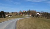 Tour Zu Fuß Söding-St. Johann - Stallhofner Rundweg - Photo 7