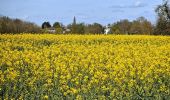 Tour Wandern Fontainebleau - La rando des 3 chateaux - Parcours 42 km - Photo 8