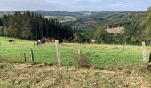 Tocht Stappen Sankt Vith - Lommersweiler vallées de l’Our - Photo 8