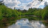 Excursión Senderismo Spa - aérodrome. bois des vieilles fagnes . malchamps . retour le long de la fagne  - Photo 1