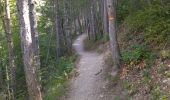 Trail Walking Barret-sur-Méouge - 05 gorges meouge 03.08.23. semi aquatique un - Photo 5