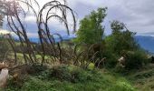 Trail Walking Theys - PROMENADE AUTOUR DU COL DES AYES - Photo 20