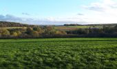 Percorso Marcia Durbuy - Petite-Somme Durbuy Château de Radhadesh - Photo 3