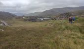 Tour Wandern West Cork - Hungry Hill - Photo 7