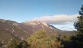 Tocht Stappen Teyssières - col de Lachaud  - Photo 4