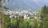 Randonnée Marche Chamonix-Mont-Blanc - Chamonix départ parking du Biolay derrière cimetière  - Photo 14