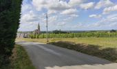Tour Wandern Bellevigne-en-Layon - Faye d'Anjou - Photo 4