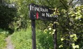 Tour Wandern Unknown - 11133234-chemin du coq_jul-2017_openrunner - Photo 1