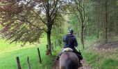 Trail Horseback riding Bastogne - Tripoux mai 2023 2 - Photo 6