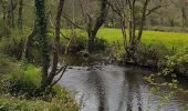 Trail Walking Val-du-Layon - saint Lambert Du Lattay  - Photo 7