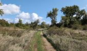Trail Walking Luynes - Luynes la Rue Barbier - la Loire et l'Aqueduc - 12.3km 100m 3h20 (35mn) - 2025 09 15 - Photo 3