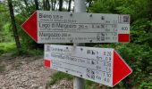 Trail On foot Verbania - A00 - Verbania Suna - Bieno - Mergozzo - Photo 2