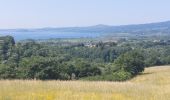 Randonnée Marche Acquapendente - CR_Francigena_DK_47_Acquapendente_Bolsena_20230530 - Photo 10