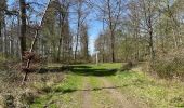 Randonnée Marche Compiègne - en forêt de Compiègne_48_sur les Routes de la Mariolle et du Grand Veneur - Photo 15