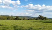 Tocht Stappen Stoumont - cour . borgoumont . moulin du ruy . andrimont . cour - Photo 1