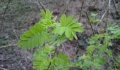 Trail On foot Goseck - Rundweg-Goseck - Photo 9