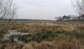 Randonnée Marche Calmpthout - Kalmthout heide - Photo 7