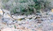 Trail Walking Draguignan - malmont chapelle st jean - Photo 4