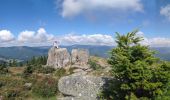 Tour Wandern Sondernach - 2022-07-10 Boucle et sommet du Petit Ballon  - Photo 2