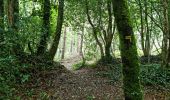 Trail Walking Limerzel - Limerzel Sentier du Sillon - Photo 12