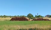 Randonnée Marche Lurs - LURS . Au dela du Lauzon , S Pierre o l m - Photo 11