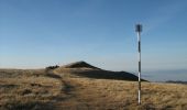 Trail On foot Săcele - Cabana Piatra Mare - Vf. lui Andir - Cabana Rențea - Photo 2