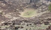 Trail Walking Orcines - Orcines le Pariou - Photo 2