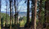 Tour Wandern Nedde - La forêt de Chaux - Photo 6