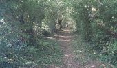 Trail Walking Valorbiquet - Aux alentours de St Cyr  - Photo 6