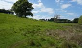 Excursión A pie Derbyshire Dales - Royal Shrovetide Challenge Walk (down'ards) - Photo 5