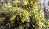 Percorso Marcia Vernon - Tétines et cascade de Baumicou - Photo 2