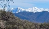 Trail Walking Volonne - VOLONNE  . CHAPELLE SAINT JOSEPH N - Photo 9