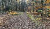 Tour Wandern Welkenrath - Welkenraedt -Eupen 24,5 km - Photo 8