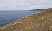 Trail Walking Plogoff - 2019 06 12 Loc'h Baie des Trépassés par Pointe du Raz - Photo 4