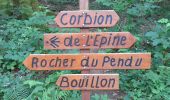 Tour Wandern Bouillon - Marche ADEPS à Bouillon 8km500 - Photo 15