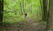 Tocht Stappen Saint-Chéron - Saint-Cheron - l'Orge - Photo 10