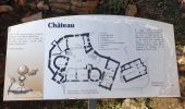 Randonnée Marche Châtillon - Châtillon - La vallée de l'Azergues - Photo 14