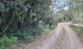 Trail Walking Cuers - Du col de la bigue vers le bas des barres de Cuers - Photo 9
