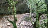 Tour Wandern Monieux - le vallon du loup - Photo 3