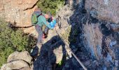 Tocht Stappen Le Muy - Les trois croix  Roquebrune - Photo 16