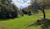 Trail Walking Saint-Sylvestre - Grandmont-Les Sauvages long - 7,1 km - Photo 2