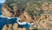 Tocht Stappen La Ciotat - Falaise La Ciotat - Mugel - ND de la Garde - Ste Frétouse - Photo 3