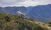 Tour Wandern Unknown - Le pic de Savis - Photo 7
