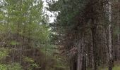 Tocht Stappen Villeneuve-de-Berg - la forêt des sens Villeneuve de Berg  - Photo 16
