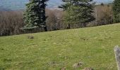 Tocht Stappen Pollionnay - Col de la Luère  - Photo 2