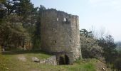 Excursión A pie Gemeinde Wöllersdorf-Steinabrückl - Wöllersdorf Rundwanderweg Naturlehrpfad 