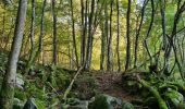 Tour Wandern Metzeral - Le belvédère du 1e Spitzkopf - Photo 8